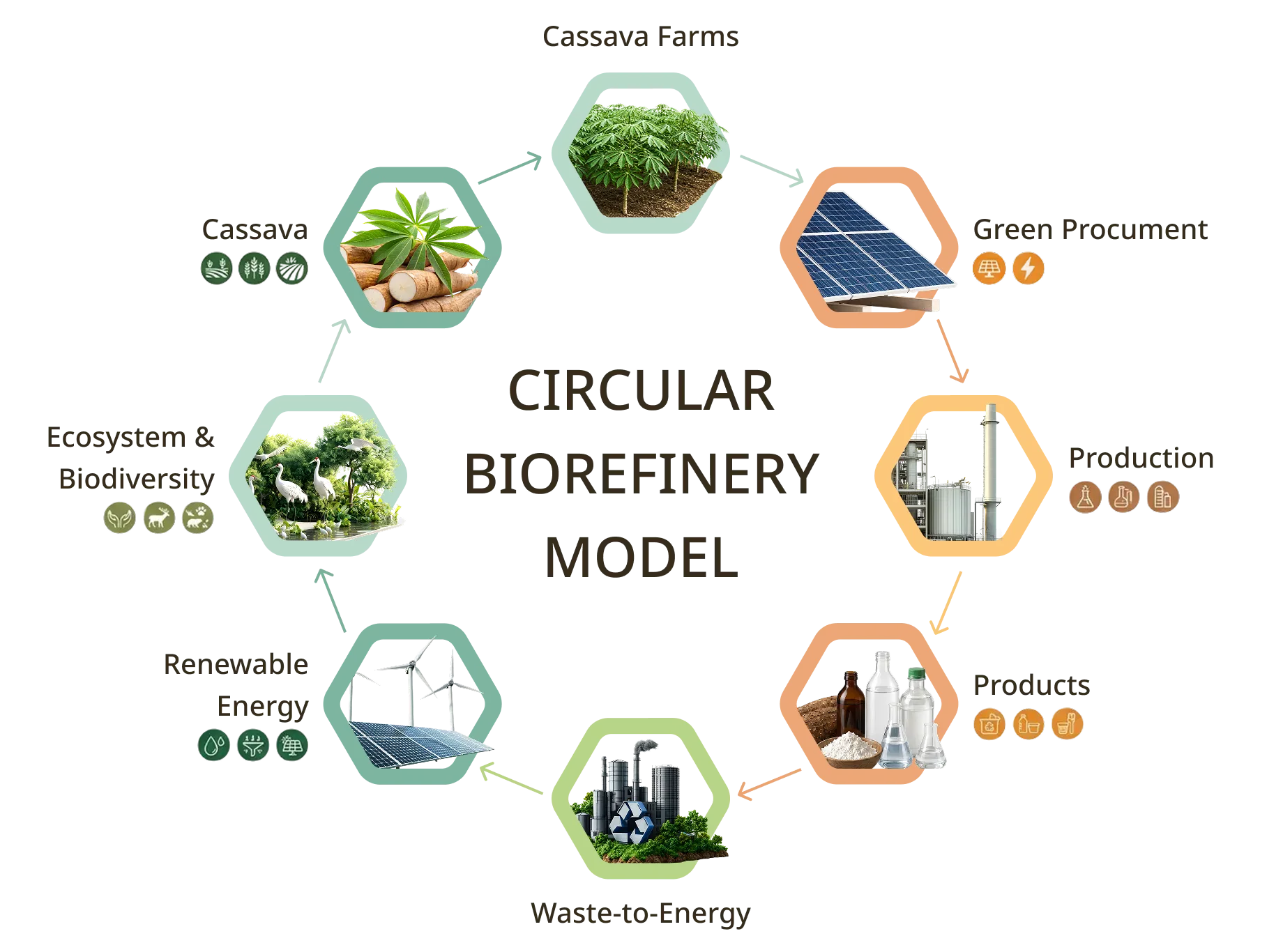 UBE Circular Biorefinery Model